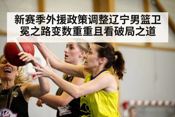 新赛季外援政策调整辽宁男篮卫冕之路变数重重且看破局之道
